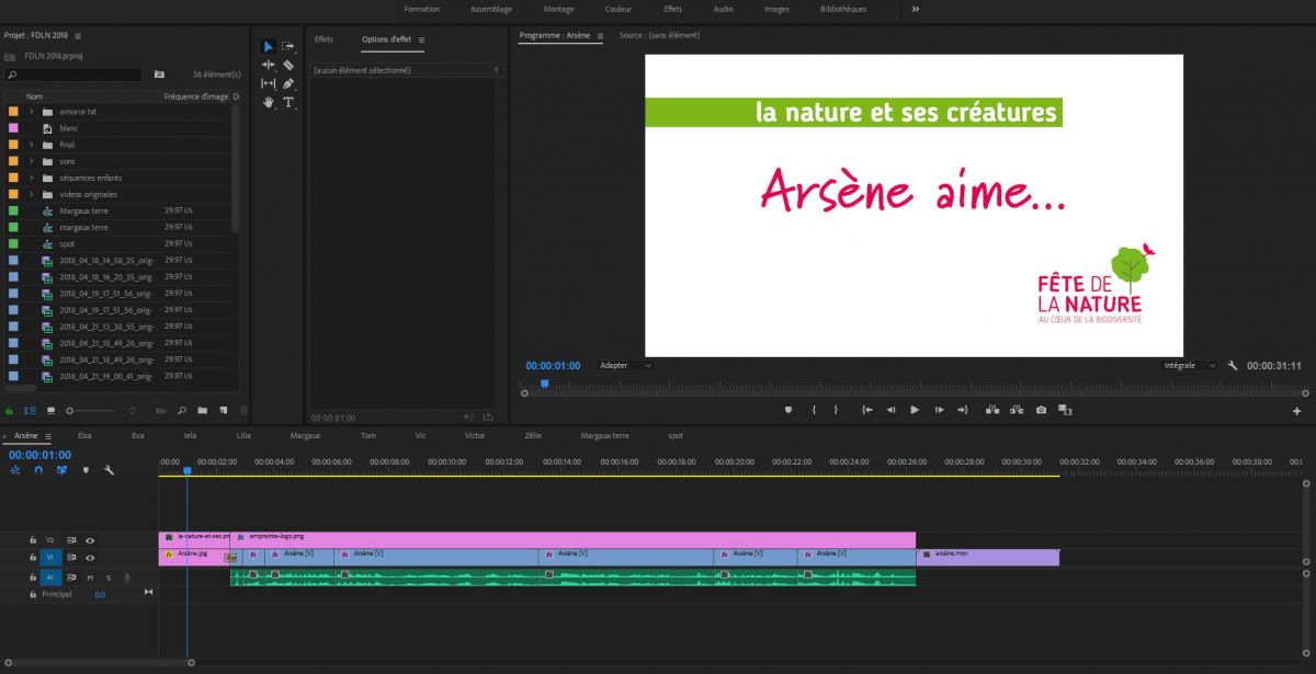 Capture Première Pro interview.